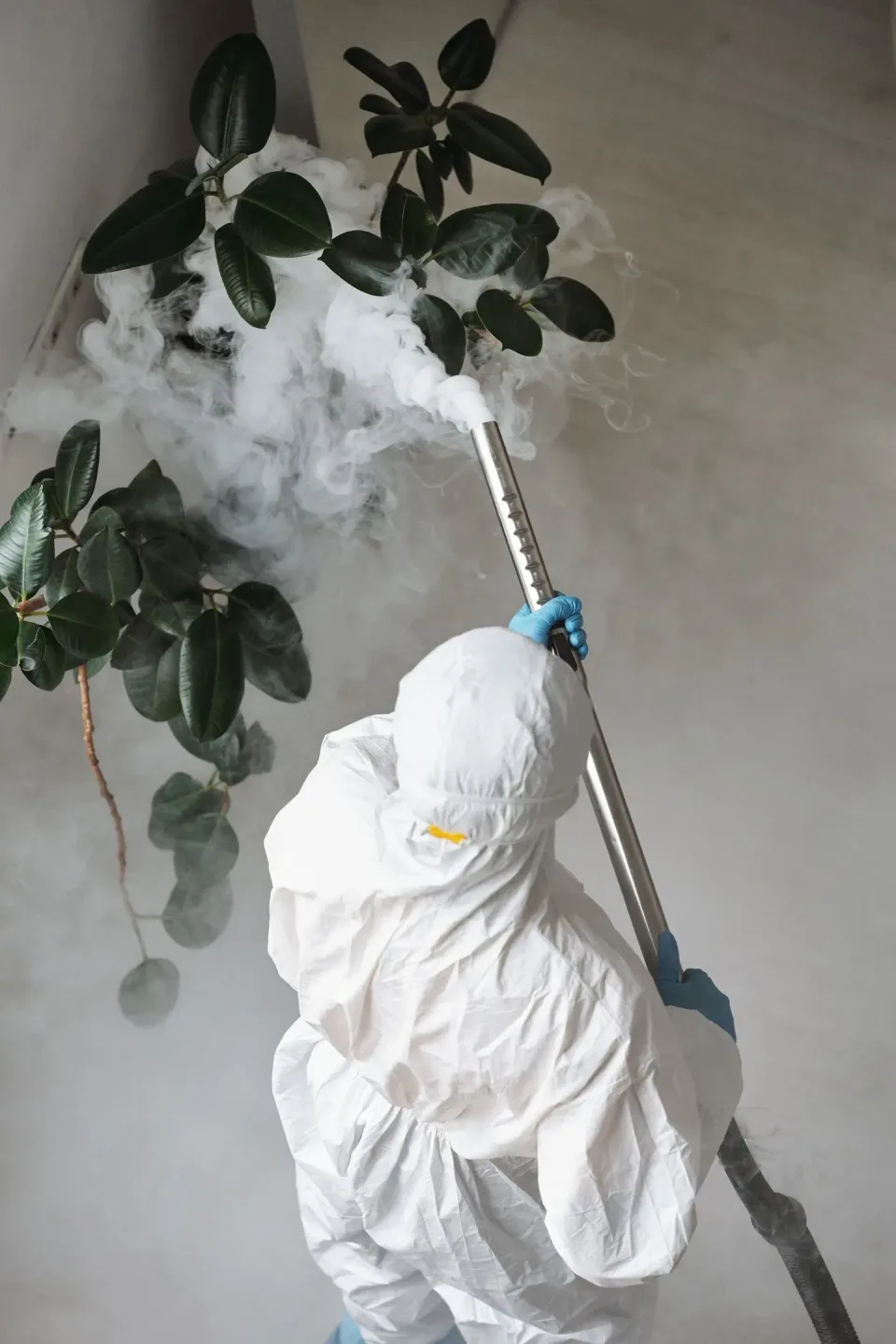 Pest Control Technician — Biosecurity — Pest Control Technician, Hazmat Suit, Fogging Wand, Pest Control, Pest Control in Ho…