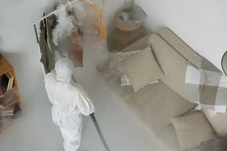 Pest Control Technician — Residential Pest Control — Pest Control Technician, Protective Hazmat Suit, Fogging Machine, Resid…